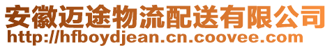 安徽邁途物流配送有限公司