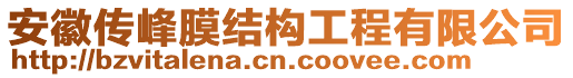 安徽傳峰膜結(jié)構(gòu)工程有限公司