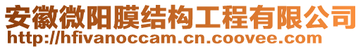 安徽微陽膜結構工程有限公司