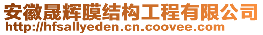 安徽晟輝膜結(jié)構(gòu)工程有限公司