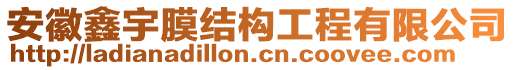 安徽鑫宇膜結(jié)構(gòu)工程有限公司