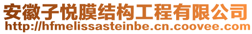 安徽子悅膜結(jié)構(gòu)工程有限公司