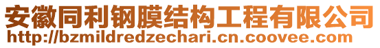 安徽同利鋼膜結(jié)構(gòu)工程有限公司