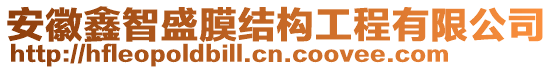 安徽鑫智盛膜結(jié)構(gòu)工程有限公司