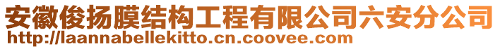 安徽俊揚(yáng)膜結(jié)構(gòu)工程有限公司六安分公司