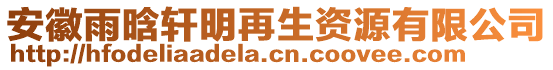 安徽雨晗軒明再生資源有限公司