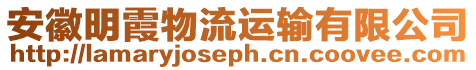 安徽明霞物流運輸有限公司