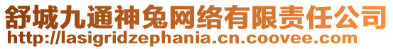 舒城九通神兔網絡有限責任公司