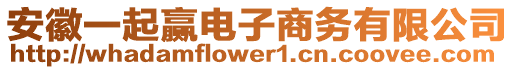 安徽一起贏電子商務(wù)有限公司