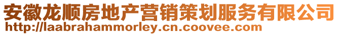 安徽龍順房地產(chǎn)營銷策劃服務(wù)有限公司