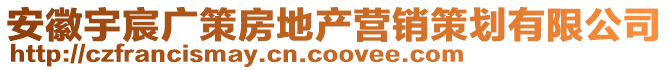 安徽宇宸廣策房地產營銷策劃有限公司