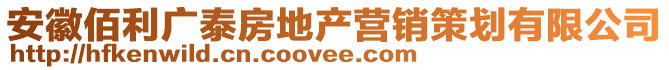 安徽佰利廣泰房地產(chǎn)營銷策劃有限公司