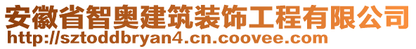 安徽省智奧建筑裝飾工程有限公司