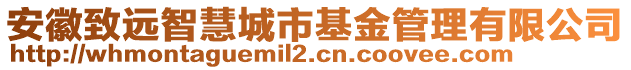 安徽致遠(yuǎn)智慧城市基金管理有限公司