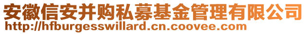 安徽信安并購私募基金管理有限公司