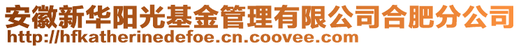 安徽新華陽光基金管理有限公司合肥分公司