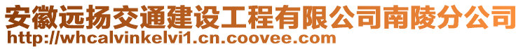 安徽远扬交通建设工程有限公司南陵分公司