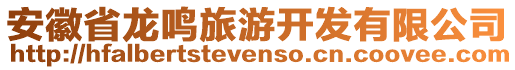 安徽省龍鳴旅游開(kāi)發(fā)有限公司