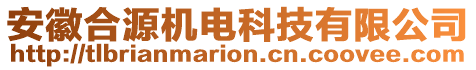 安徽合源機(jī)電科技有限公司