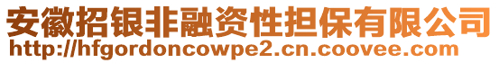 安徽招銀非融資性擔(dān)保有限公司