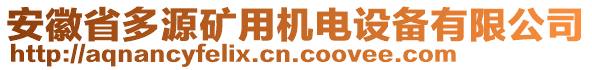 安徽省多源礦用機(jī)電設(shè)備有限公司