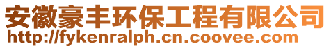 安徽豪豐環(huán)保工程有限公司