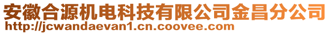 安徽合源機電科技有限公司金昌分公司