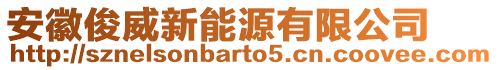 安徽俊威新能源有限公司