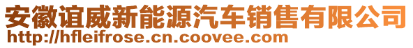 安徽谊威新能源汽车销售有限公司