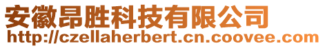 安徽昂勝科技有限公司