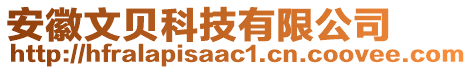 安徽文貝科技有限公司