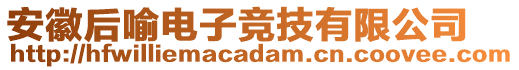 安徽后喻电子竞技有限公司