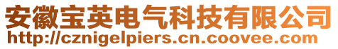 安徽寶英電氣科技有限公司