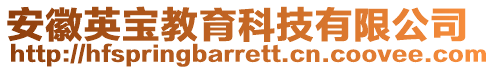 安徽英寶教育科技有限公司