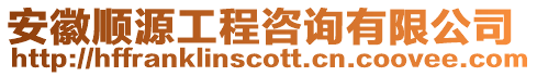 安徽順源工程咨詢有限公司