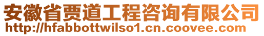 安徽省贾道工程咨询有限公司