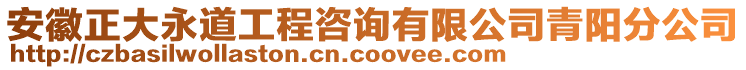 安徽正大永道工程咨詢有限公司青陽分公司