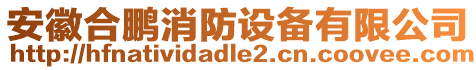 安徽合鵬消防設(shè)備有限公司