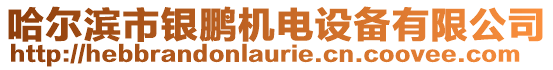 哈爾濱市銀鵬機(jī)電設(shè)備有限公司