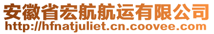 安徽省宏航航運有限公司