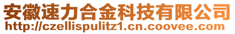 安徽速力合金科技有限公司