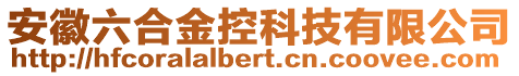 安徽六合金控科技有限公司