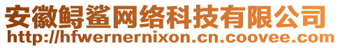 安徽鱘鯊網(wǎng)絡(luò)科技有限公司