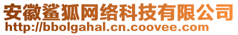 安徽鯊狐網(wǎng)絡(luò)科技有限公司