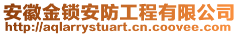 安徽金鎖安防工程有限公司