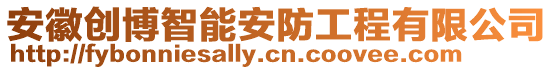 安徽創(chuàng)博智能安防工程有限公司