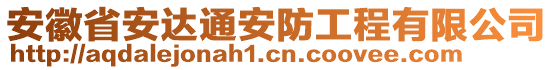 安徽省安達通安防工程有限公司