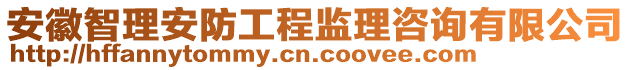 安徽智理安防工程監(jiān)理咨詢有限公司