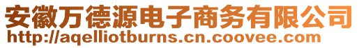 安徽萬德源電子商務(wù)有限公司