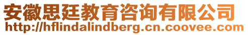 安徽思廷教育咨詢有限公司